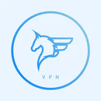 789飞马加速器官网